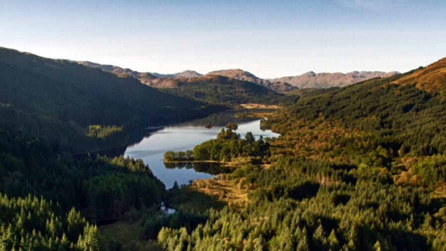 عکس جنگل شمال