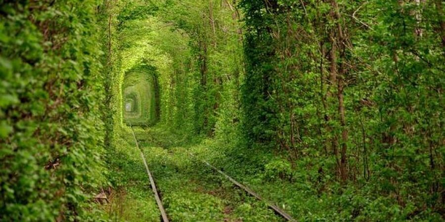 تونل عشق.jpg