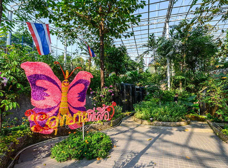 Bangkok Butterfly Garden & Insectarium.jpg
