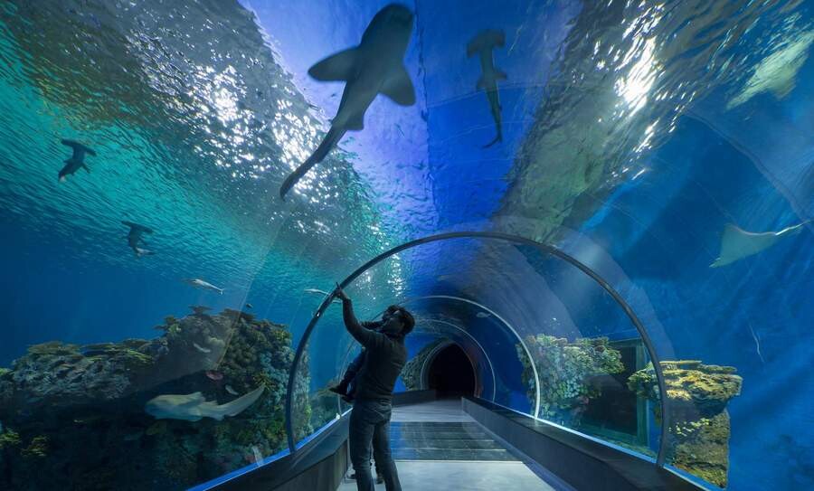 aquarium trabzon.jpg
