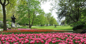 پارک ‌گروگا  آلمان، پارکی به زیبایی یک شهر