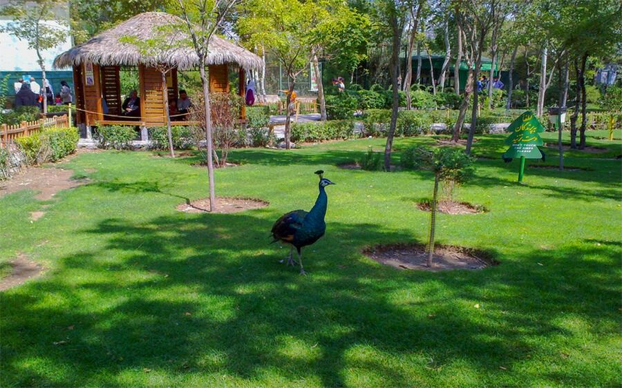 Lastsecond.ir-recreational-attraction-in-mashhad-birds-garden.jpg