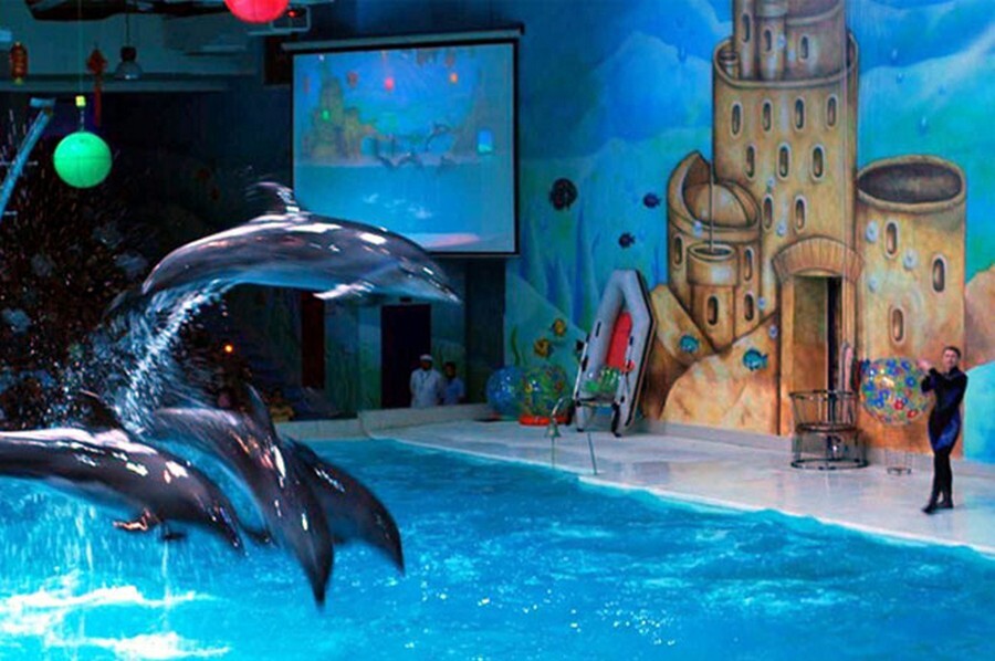 dolphinarium.jpg