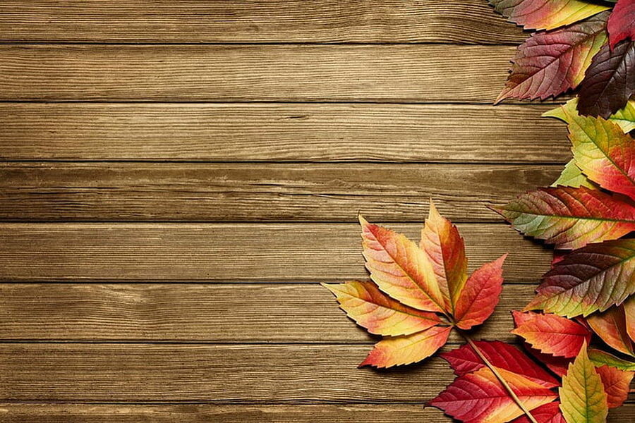 HD-wallpaper-autumn-background-pretty-fall-autumn-lovely-falling-background-colors-beautiful-leaves-nice-wooden.jpg