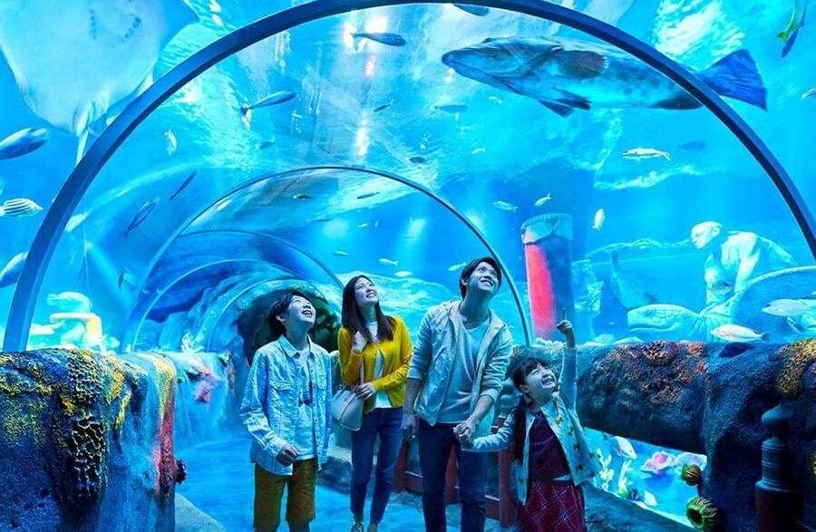 Lastsecond.ir-malaysia-attractions-Underwater-Aquarium.jpg
