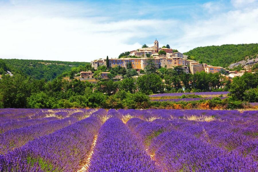 Lastsecond.ir-france-best-attractions-lavender.jpg