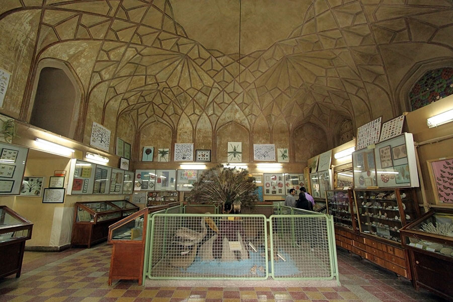 Lastsecond.ir-best-attractions-of-isfahan-natural-history-mostafameraji.jpg