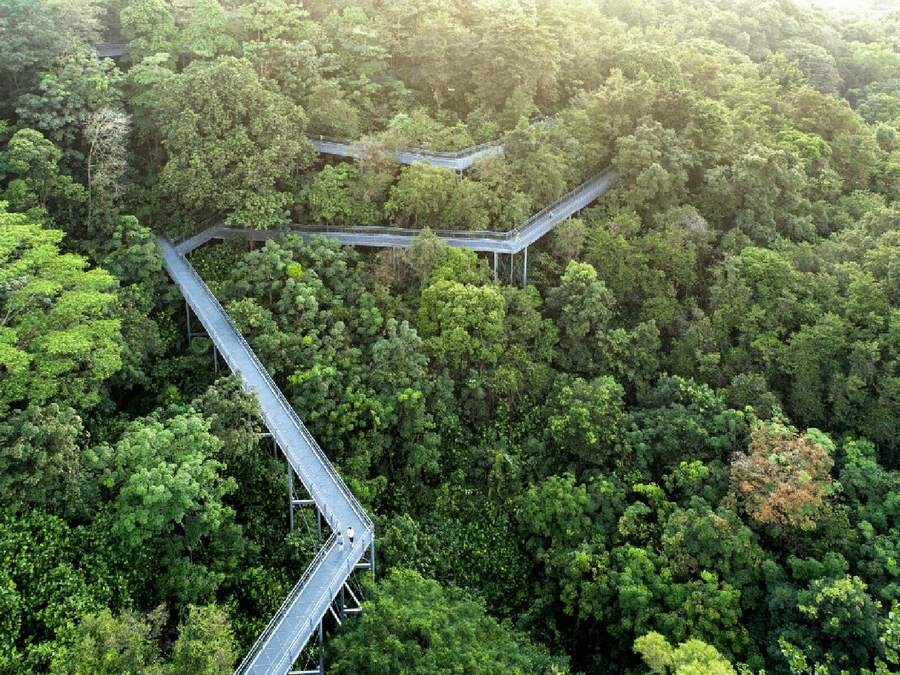 Top-6-Nature-Trails-in-Singapore---Southern-Ridges.jpg