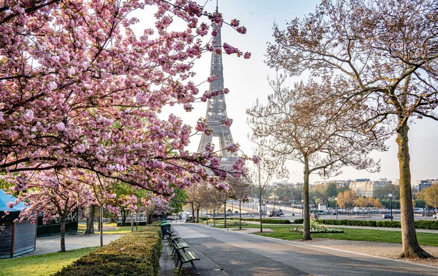 lastsecond.ir-paris-travel-guide-spring.jpg