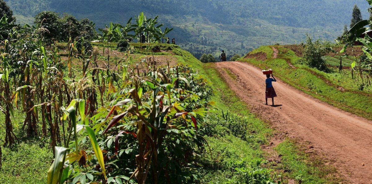 سفر به اوگاندا، مروارید سبز آفریقا