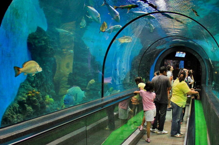 akvarium phuket.jpg