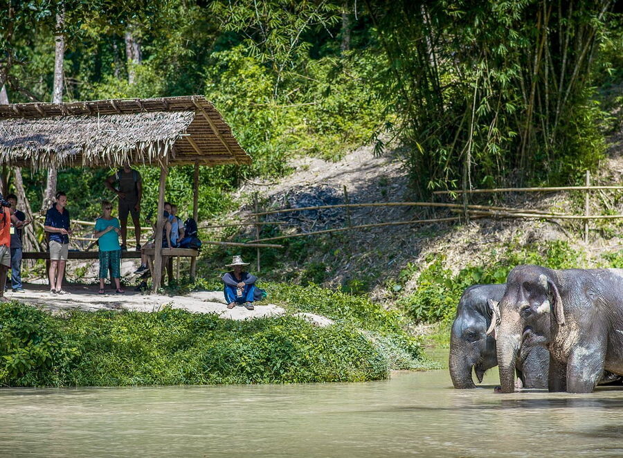 tour-phuket-elephant.jpg