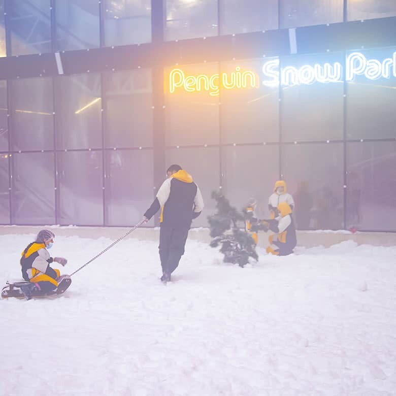 penguin-snow-park-2.jpg