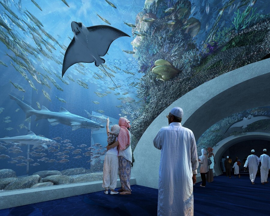 Oman-Aquarium-Tunnel.jpg
