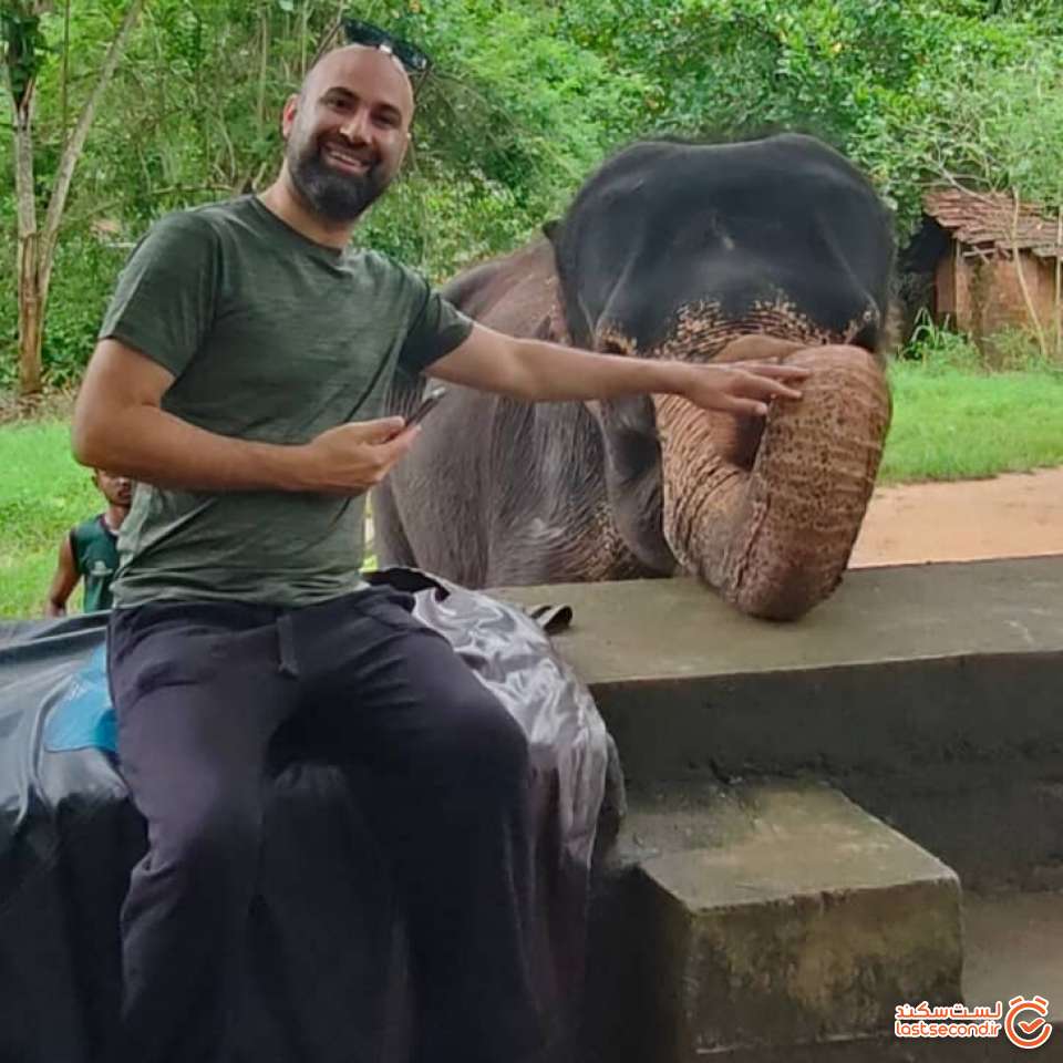 تجربه لمس فیل های آسیایی