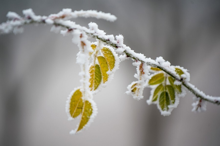 Winter-Photography-Tips-9.jpg