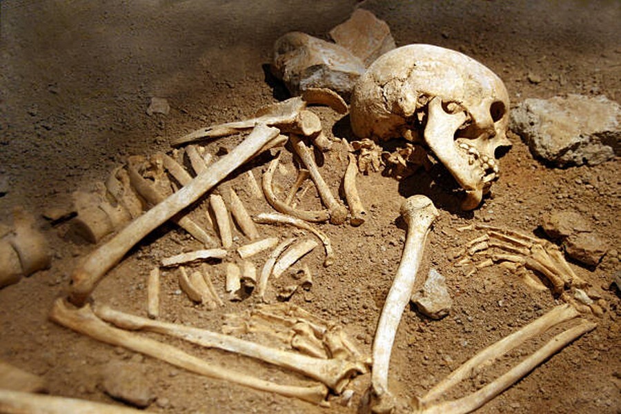 Photos of human skeletons and weapons2.jpg
