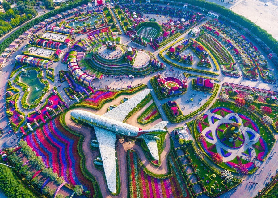 Dubai Miracle Garden.jpg