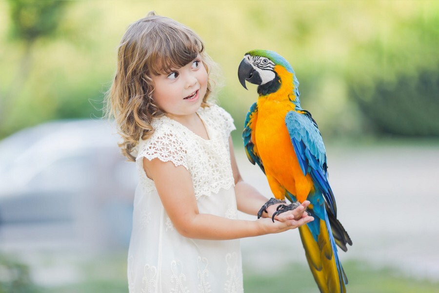 Jungle-Gardens-Girl-holding-a-macaw-scaled.jpg