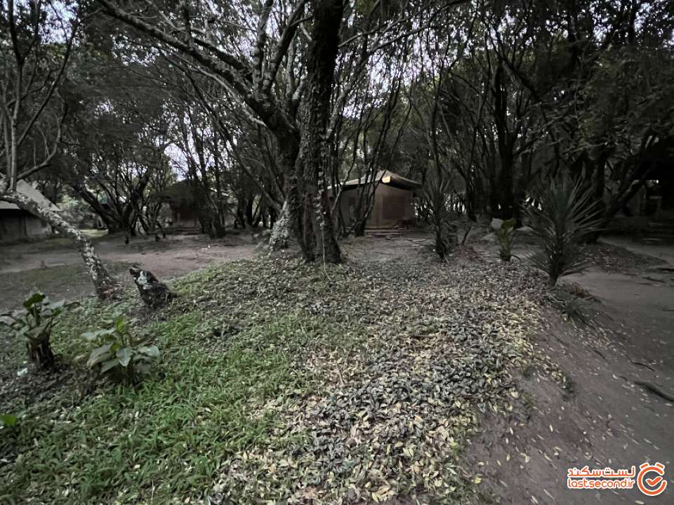 نمایی از اکوکمپ در ماسای مارا