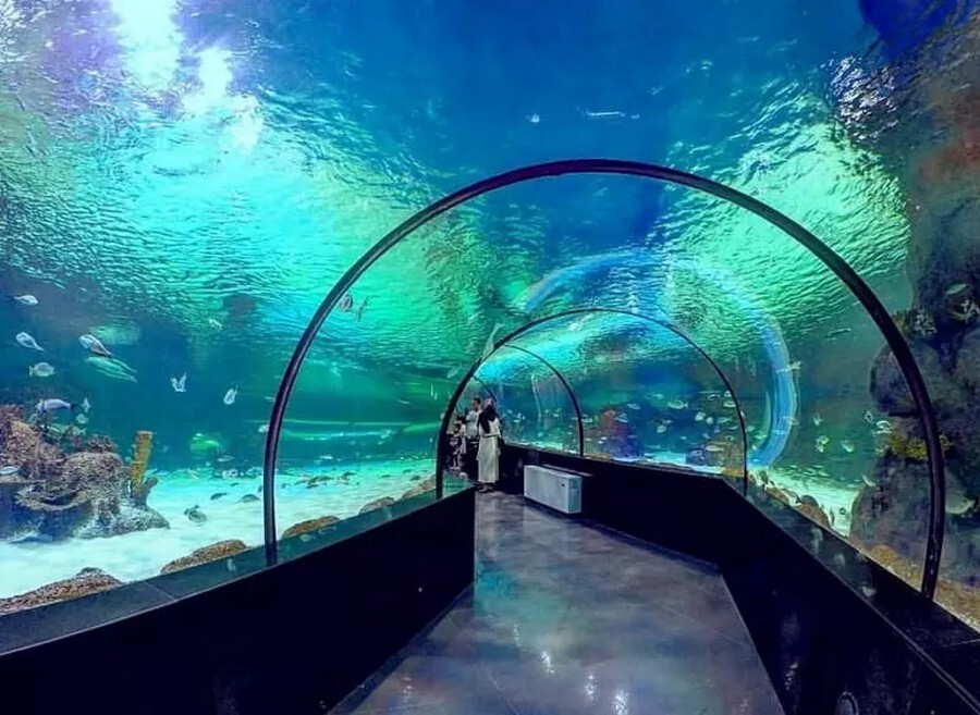 Isfahan Aquarium.jpg