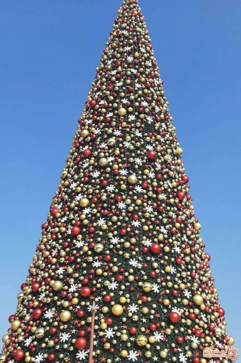 درخت کریسمس کنار نهر دبی