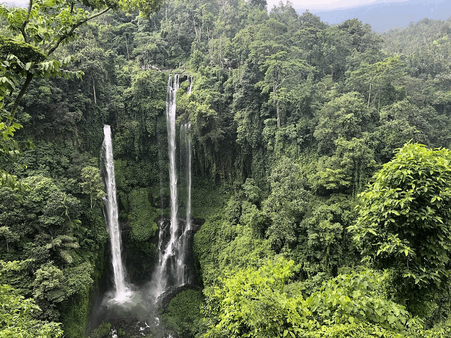 sekumpul-waterfalls.gif