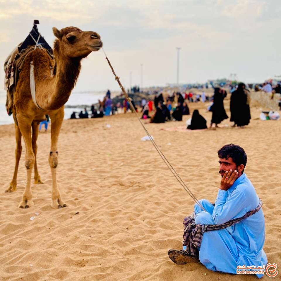 ساربان و شتر در ساحل دریابزرگ