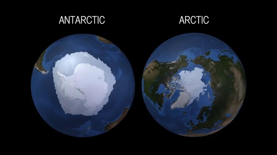arctic and antarctic.jpg