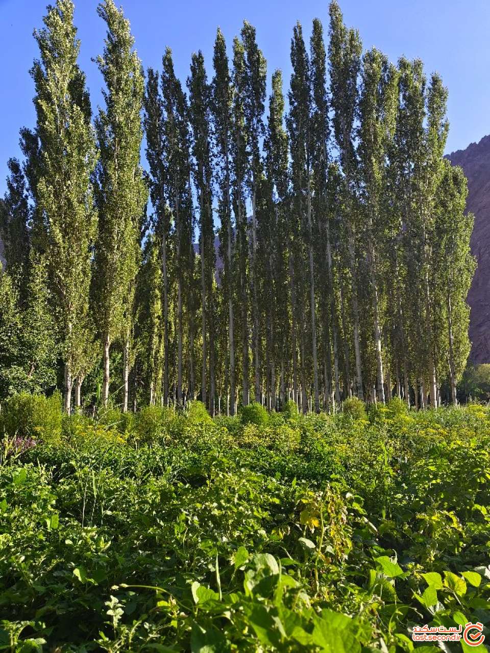 عکس 137- روستای خیجز