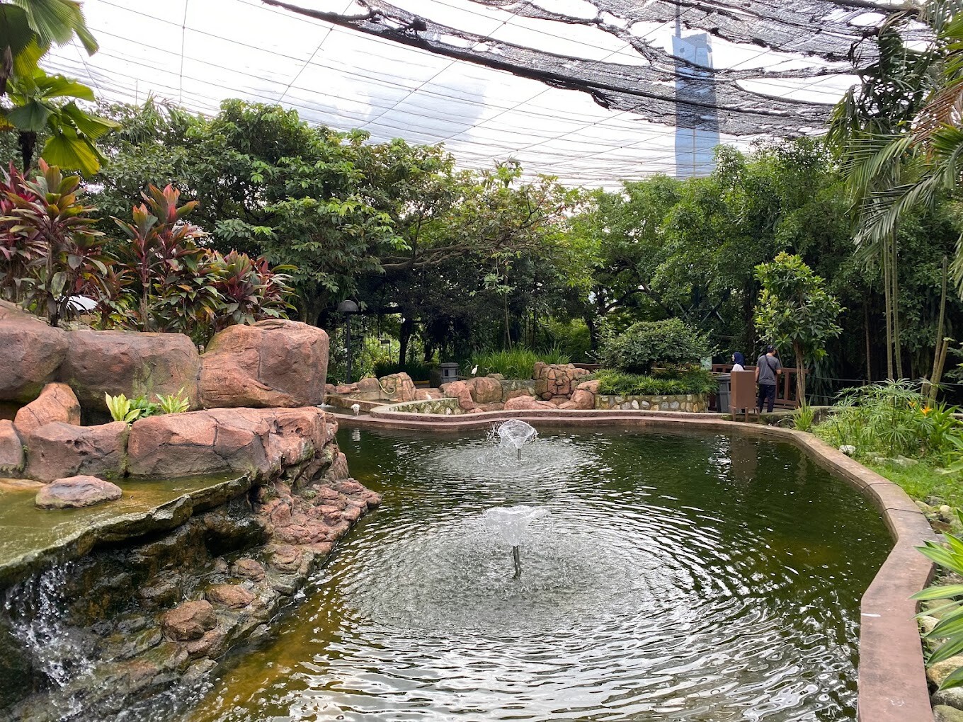 KL Bird Park.jpg