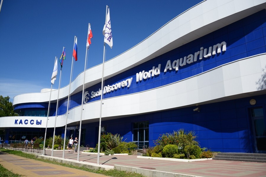 Sochi Discovery World Aquarium.jpg