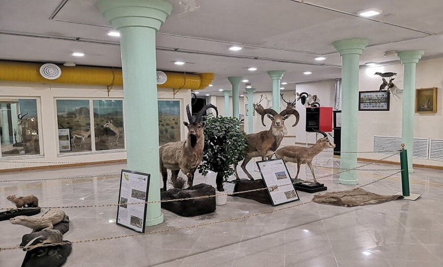 Ardabil Wildlife Museum.jpg