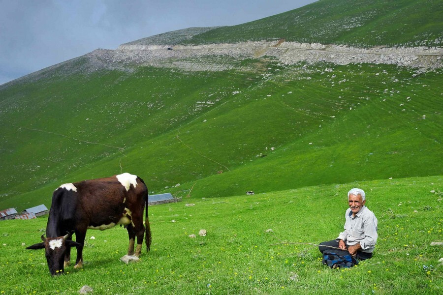 ییلاق دشته.jpg