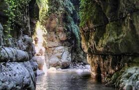 تور تنگه دار, آمازون ایران