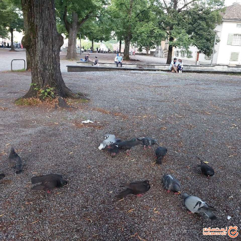 undefined