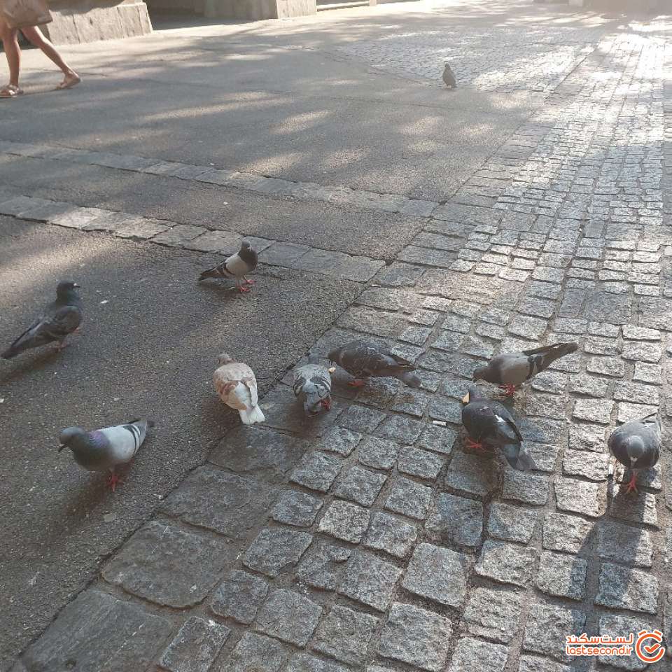 undefined