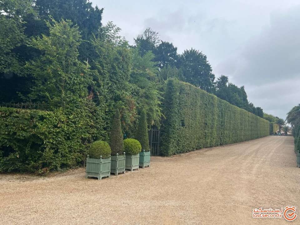 دیوارهای سبز باغ ورسای