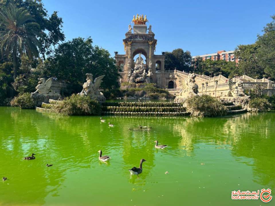برکه بسیار زیبای سینادلا پارک