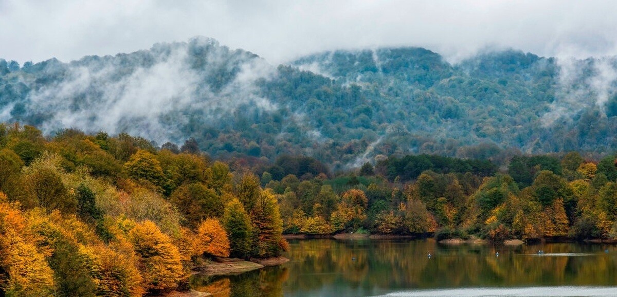 تور یکروزه جنگل بلیران