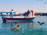 تور بوشهرگردی با قطار نوروز 1404