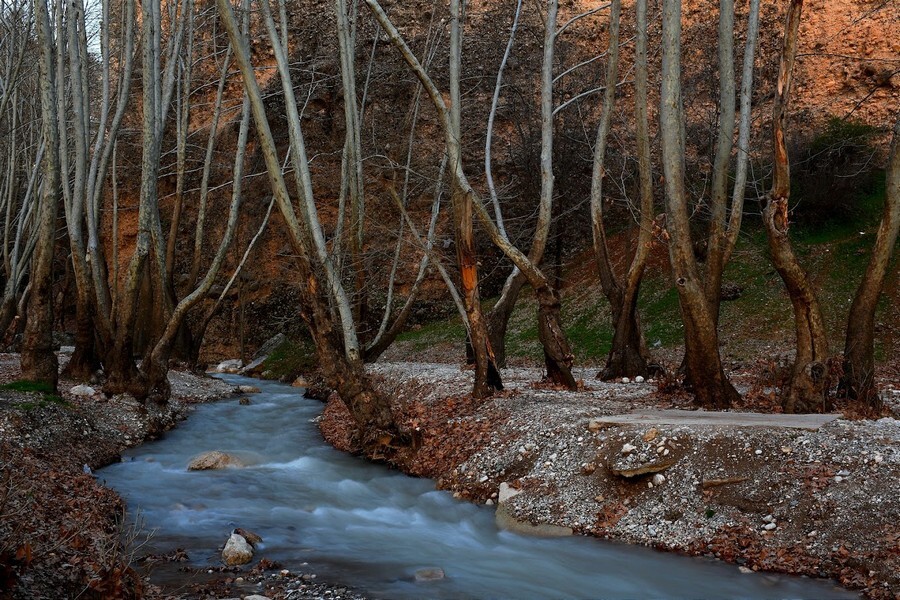 Tange ganjaei By Mahdiar Nouri.jpg