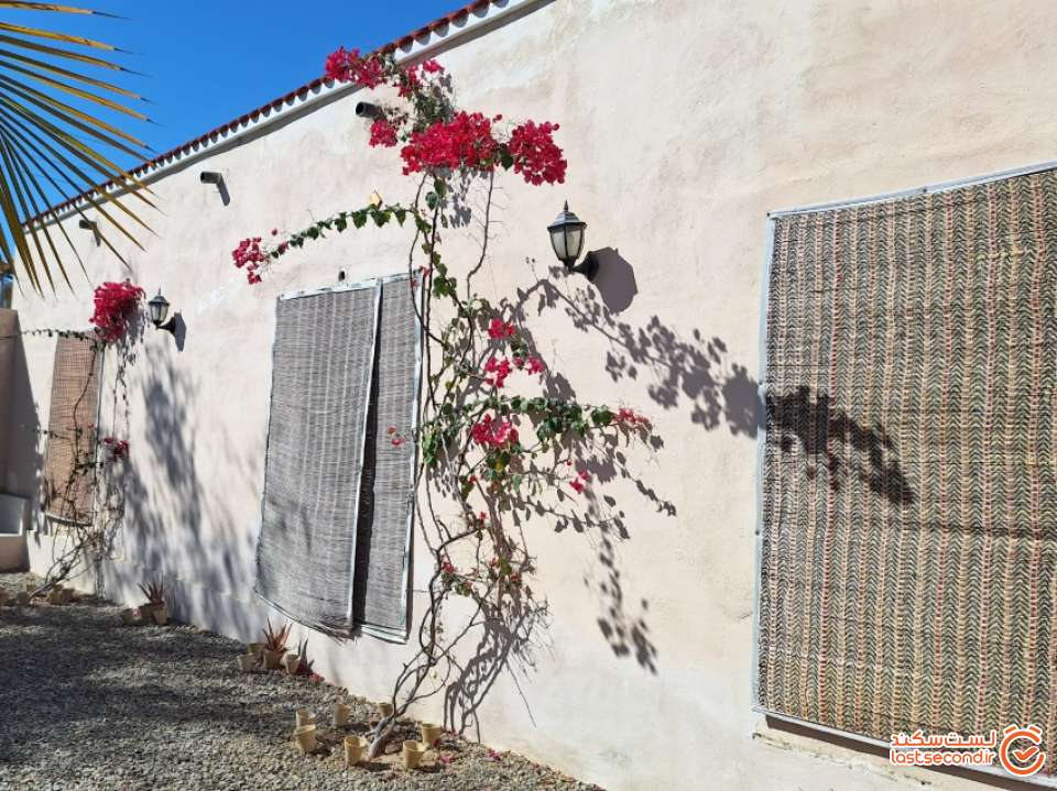 حیاط زیبای جنوب