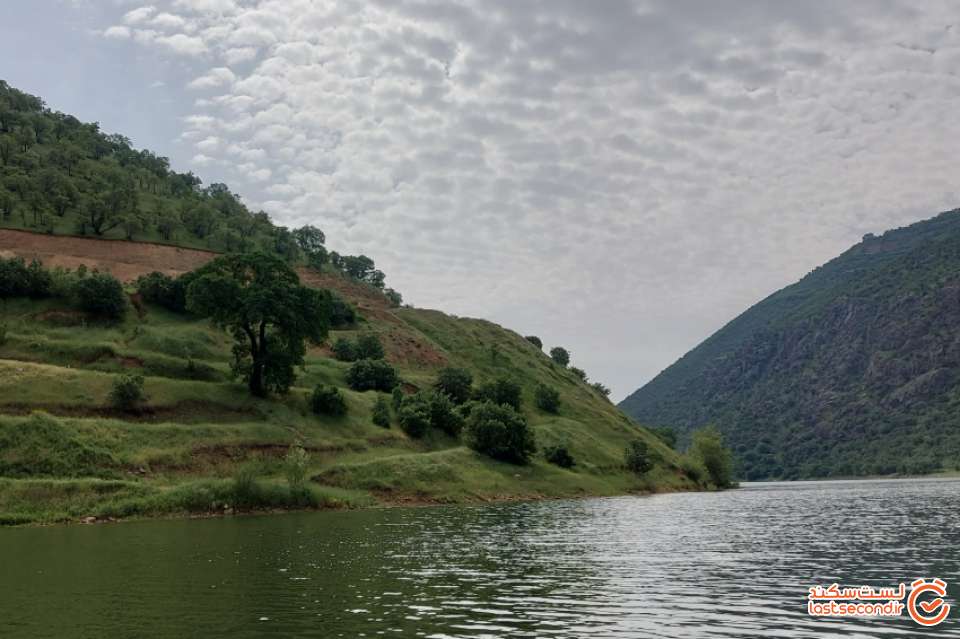 جنگل های بنه و بلوط اطراف سد داریان
