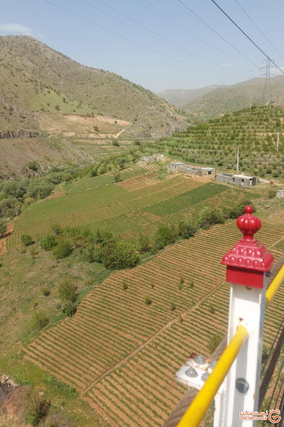 از بالای پل