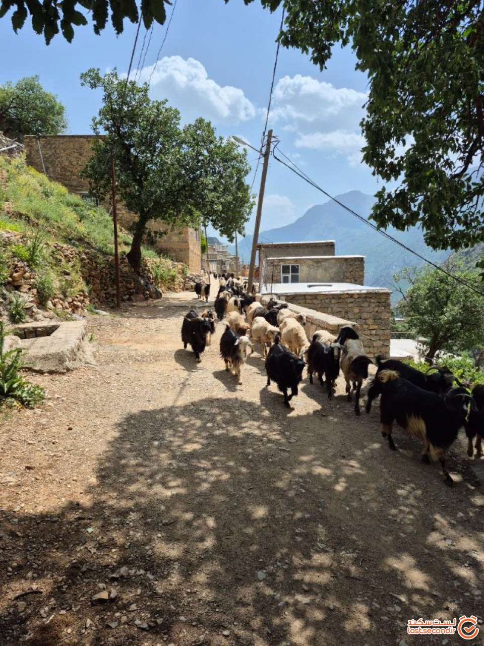 روستای پلکانی ناو
