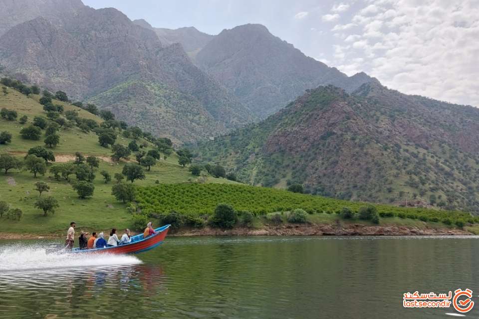 عاطفه و گروهش
