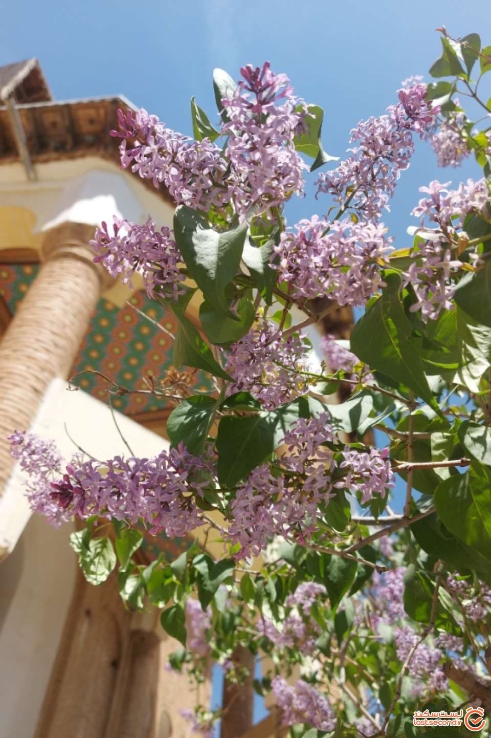 بهار در عمارت خسروآباد