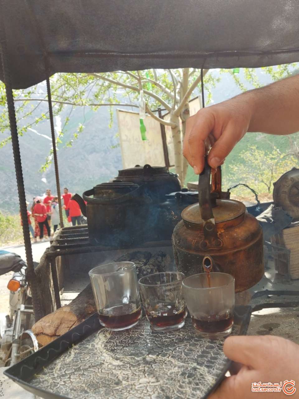 گفتم می خوام عکس بگیرم با حوصله برام ژست گرفت.
