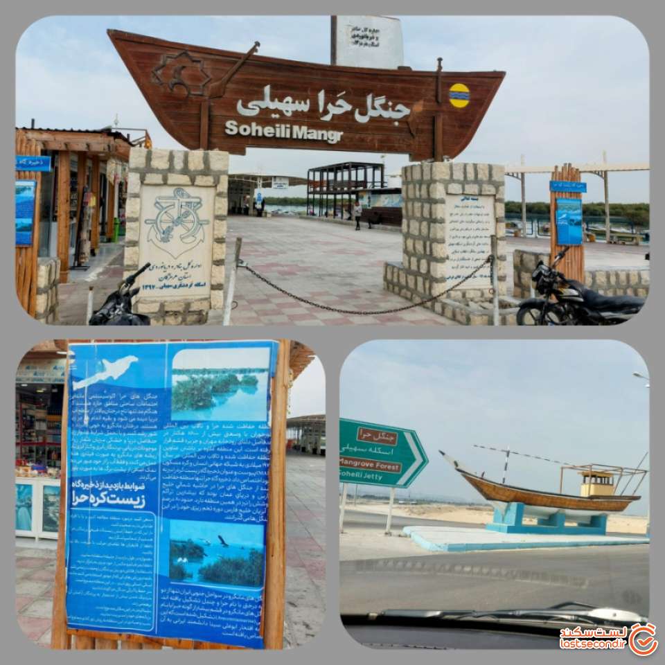 مسیر جنگل حرا